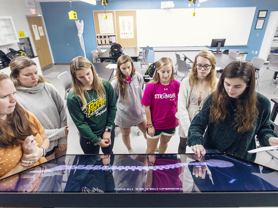 Students using a large touchscreen to view anatomy.