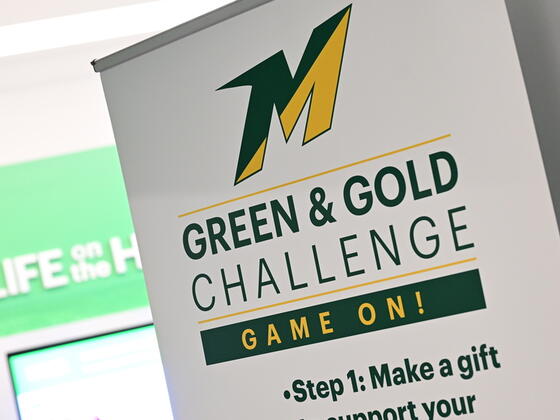 Photo of a banner that reads Green and Gold Challenge.