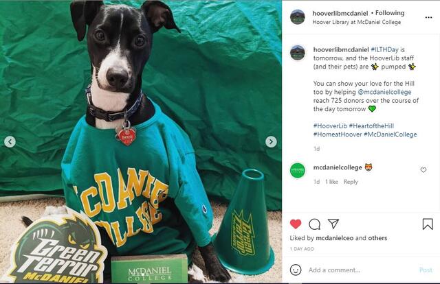 Hooverlibmcdaniel #ILTHDay is tomorrow, and the HooverLib staff (and their pets) are pumped. You can show your love for the Hill too by helping McDaniel College reach 725 donors over the course of the day tomorrow.
