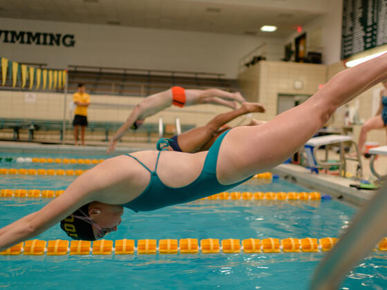 Swimmer diving in to the pool for laps.