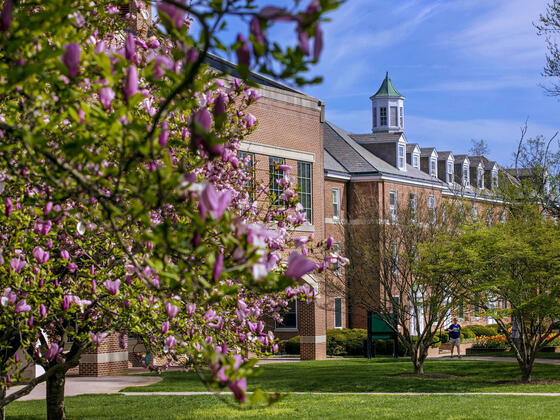 Courtyard view