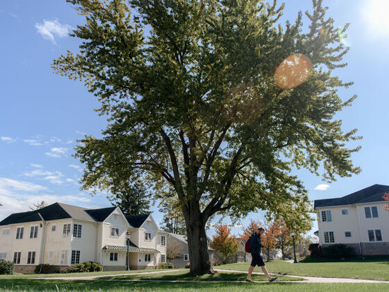 North Village