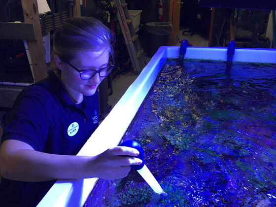 Allison Parker gathering real-world experiences and exploring careers at the famed National Aquarium. 
