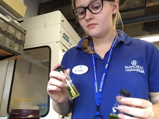 Allison Parker exploring careers at the famed National Aquarium. 