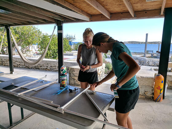 Jackie Fahrenholz - Turks making something at table