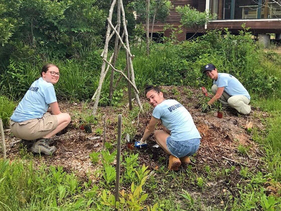 Students planting trees.