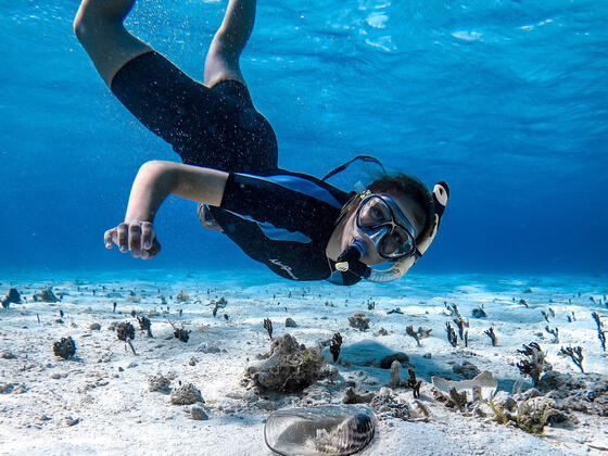 Student scuba diving during study abroad experience.