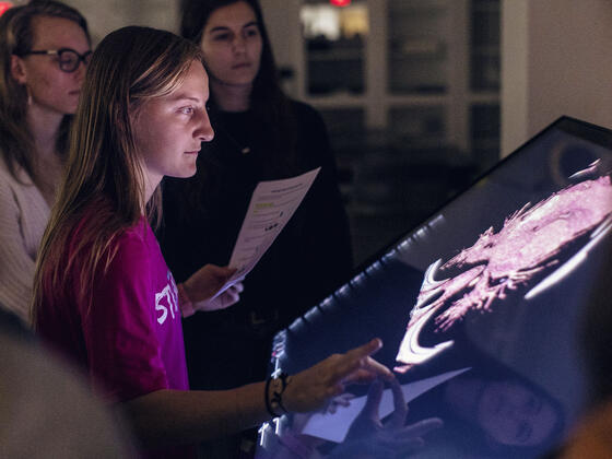 Students in Kinesiology lab.