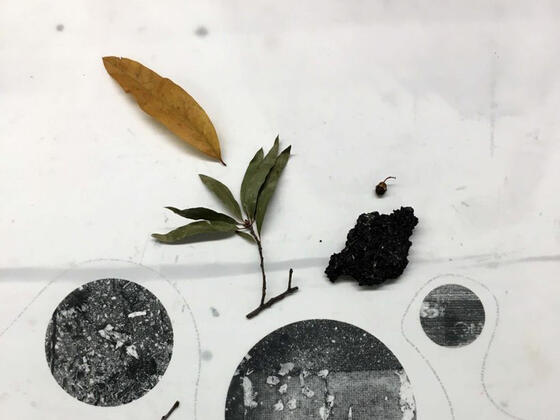 Art by Nicole Ringel: “Remnants, Remainders, Ghosts, and Continuities,” 2019, found objects and silkscreen on translucent paper, installation detail (dimensions variable) 