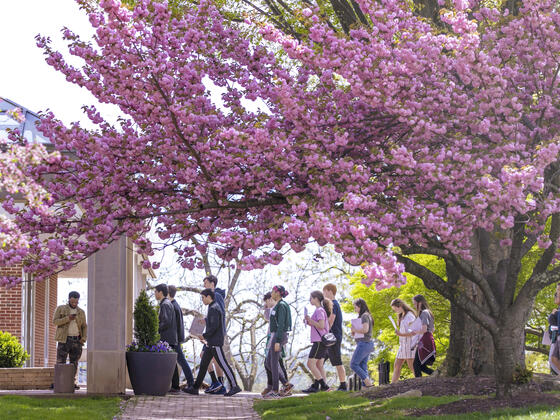 McDaniel has taken a personalized approach to admissions and strives to make the college search process as easy and stress-free as possible.