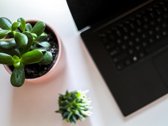 laptop with plant graphic