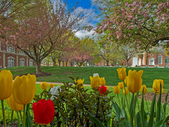 McDaniel College Campus