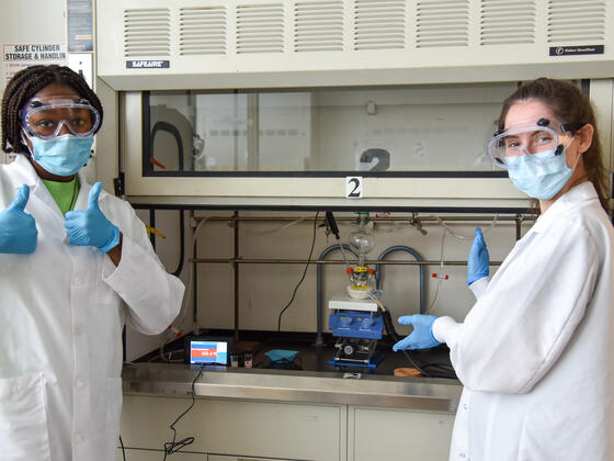 Student Faculty Research