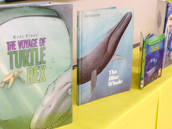 Books on display at Reading Clinic