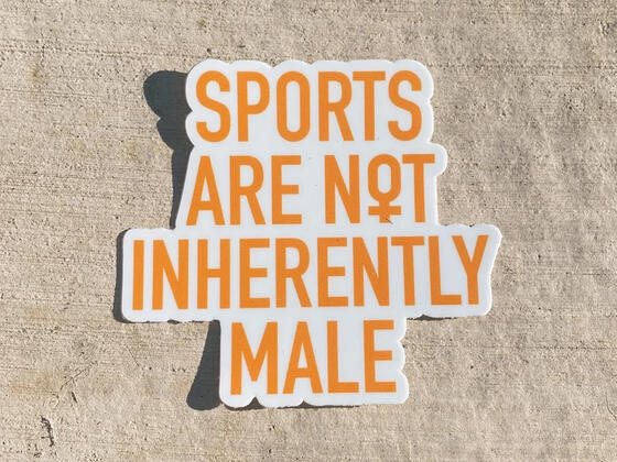 Photo of artwork, "sports are not inherently male"