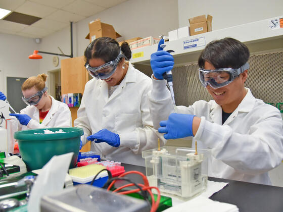 Three students working in a lab.