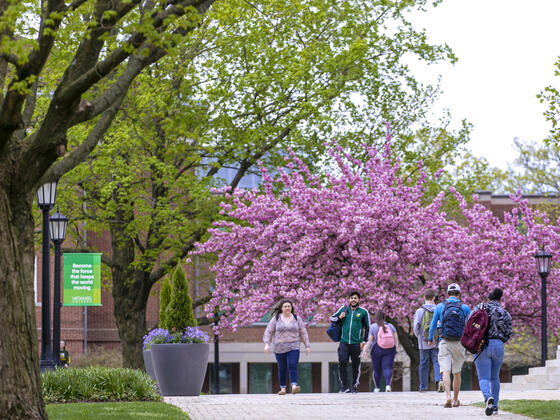 Students walking on McDaniel campus