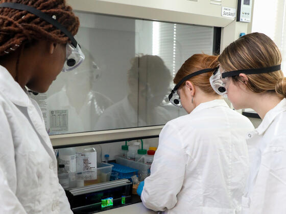 Three students look at glowing solutions in the lab.