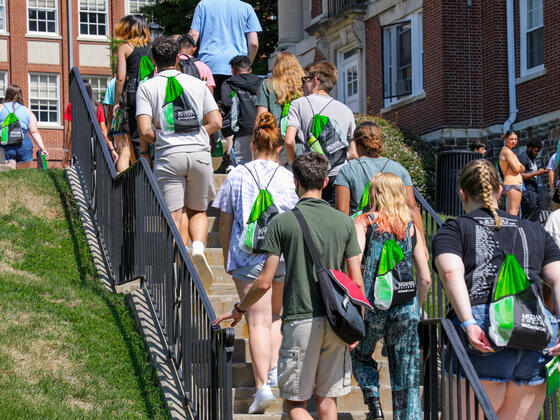 group of students walking up steps