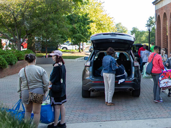 Move in 24 rz