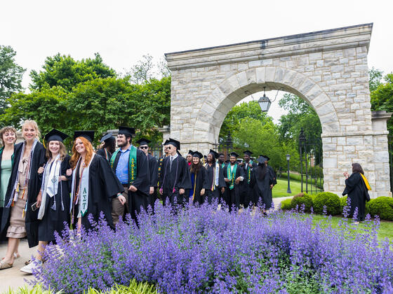 students in graduation regalia walk under the historic stone arch among a display of purple lavender. 