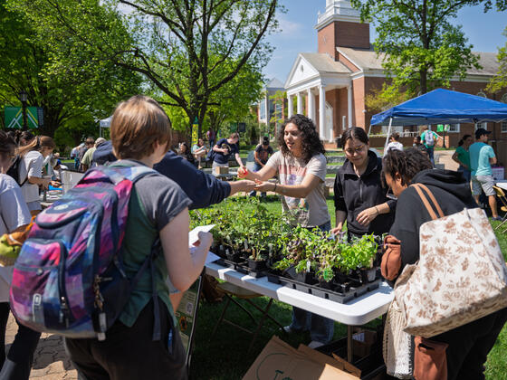 Students hand out free plants at the Earth Day Fair.
