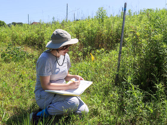 A student kneels among tall plants, taking notes