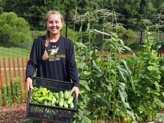 A student stands in a garden holding a crate full of harvested vegetables.