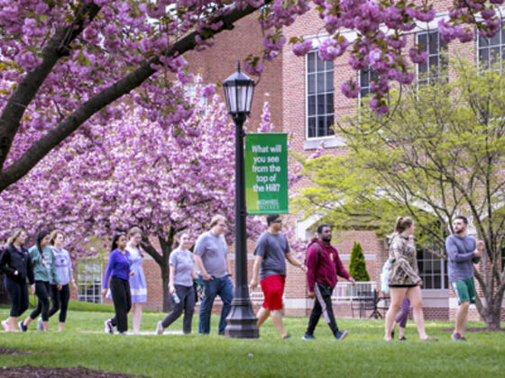 Students on McDaniel College campus