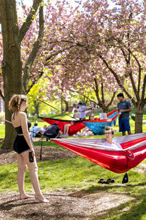 Students in hammocks on campus.