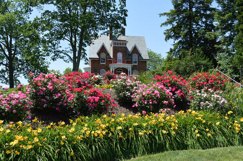 Carroll Hall in the summer.