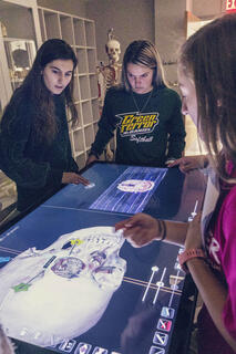 Students in Kinesiology lab.