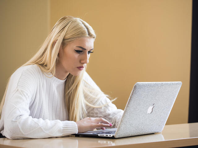 Student on computer in Budapest classroom.