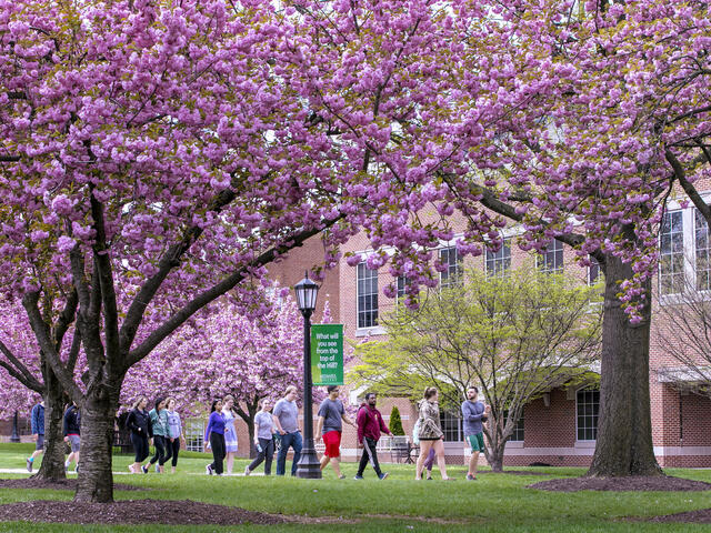 Students walking across campus in Spring.