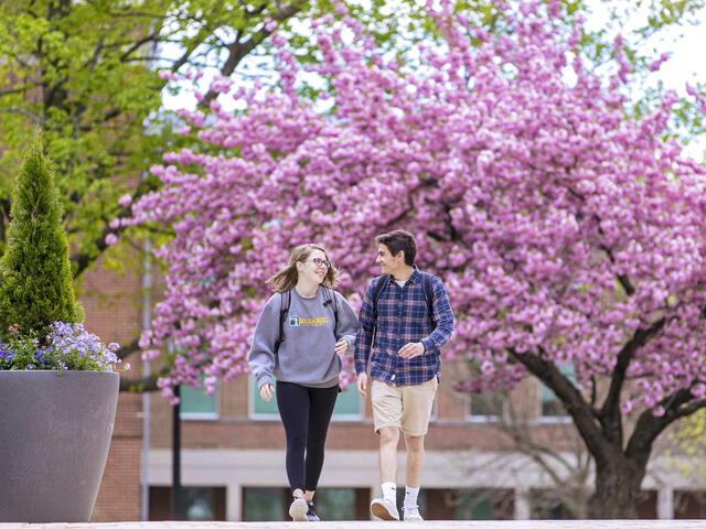 Students walking across campus in Spring.
