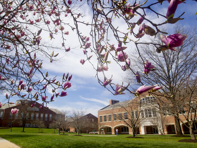 Hoover Library in Spring.