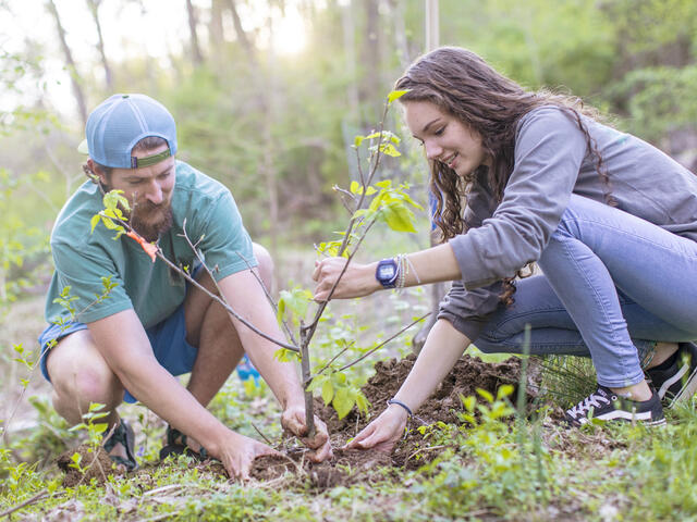 Students planting trees at Singleton Matthews Farm.