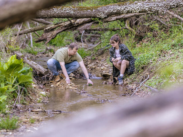 Students taking water samples at Singleton Matthews Farm.