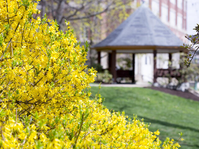Carpe Diem Gazebo