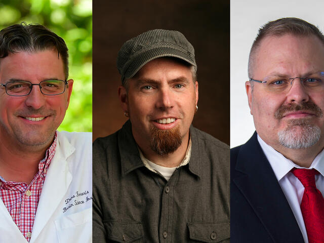 Dana Ferraris, associate professor of Chemistry, Steven Pearson, professor of Art & Art History, and Kevin McIntyre, professor of Economics and Business Administration and coordinator of the master’s degree program in Data Analytics, have been appointed to endowed positions.