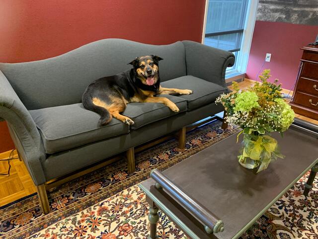 Kira in the President's Office