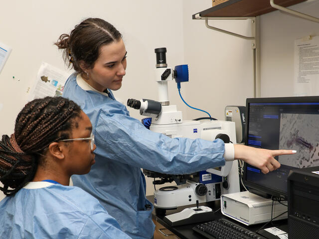 Two students in a lab look at a computer screen at a microscope image.