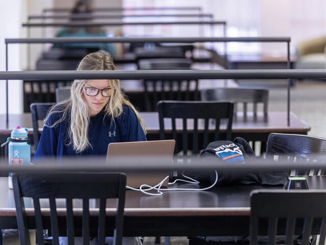 Virtual Meeting, Student working in library, Student working online, Zoom Meeting