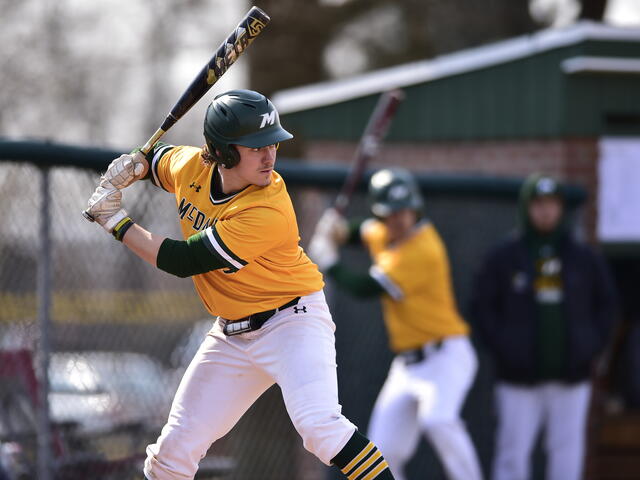 Players at Bat in Baseball game