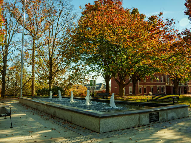 McTeer-Zepp Plaza Fall