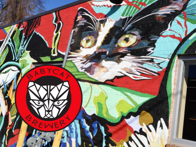 outdoor mural at Baby Cat Brewery in Kensington, MD.
