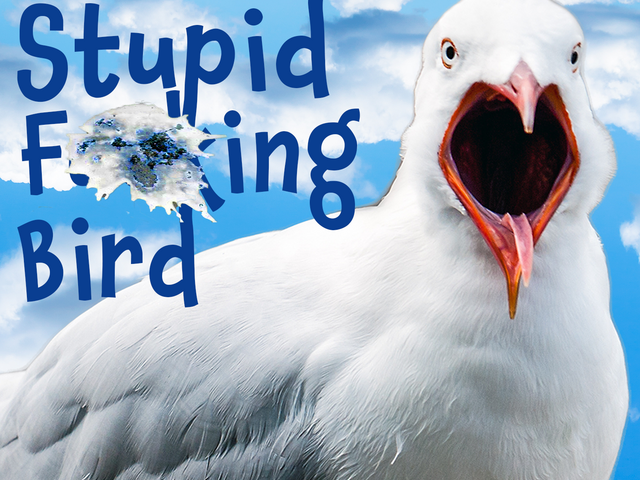seagull with the words Stupid F***ing Bird by Aaron Posner
