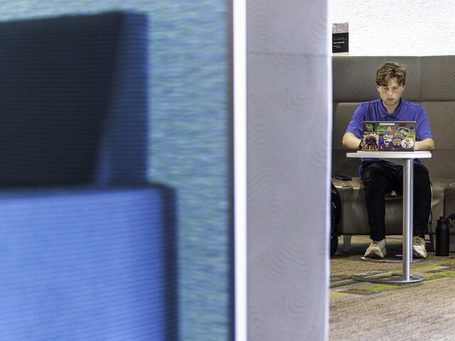 Student on a laptop in Roj Student Center