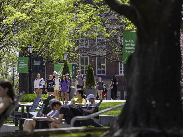 Groups of students walking and relaxing on a tree-lined campus walkway in spring, with green McDaniel College campaign banners reading "We seek a higher perspective and elevated outlook" and "We look up to find bold new directions" visible in the background.
