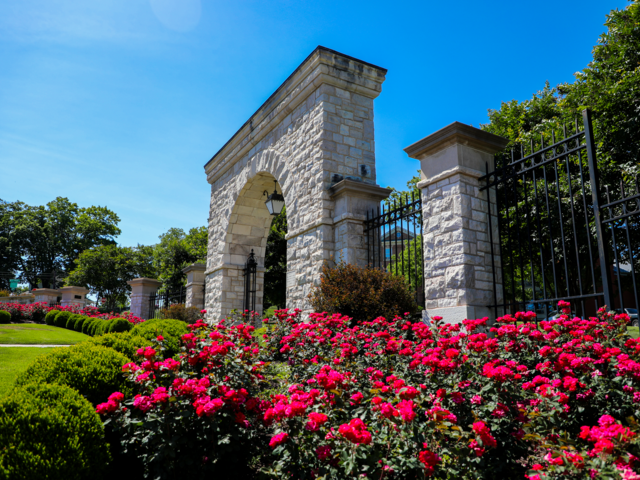 arch with flowers in summer